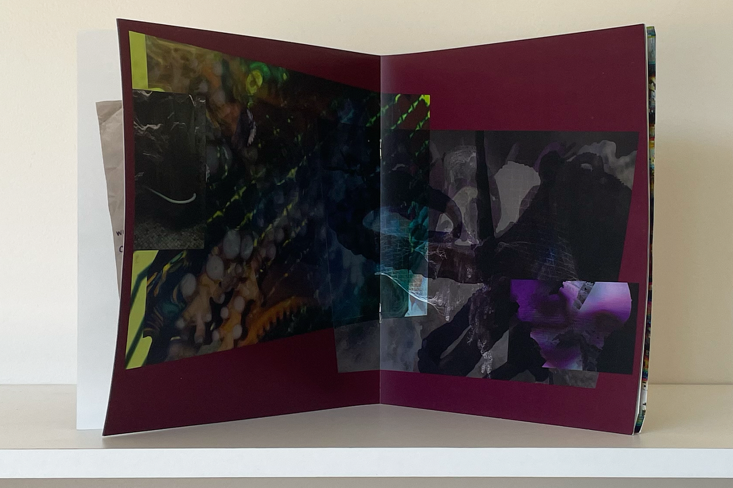 If AI Were Cephalopod